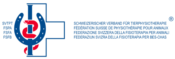 Wieviel Bewegung brauchen wachsende Hunde